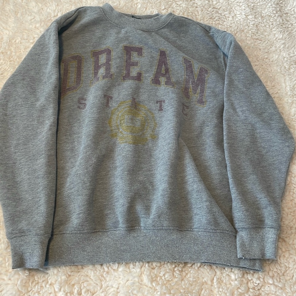 wild fable “DREAM” grey sweatshirt 🩶
